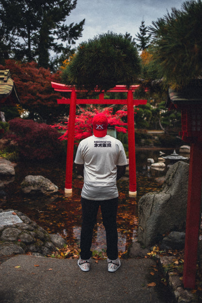 NEO TOKYO BOYS — “We’re Still the Boys From Neo Tokyo and Midnight.”